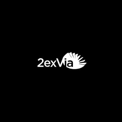 2ExVia Agence de communication stratégie web